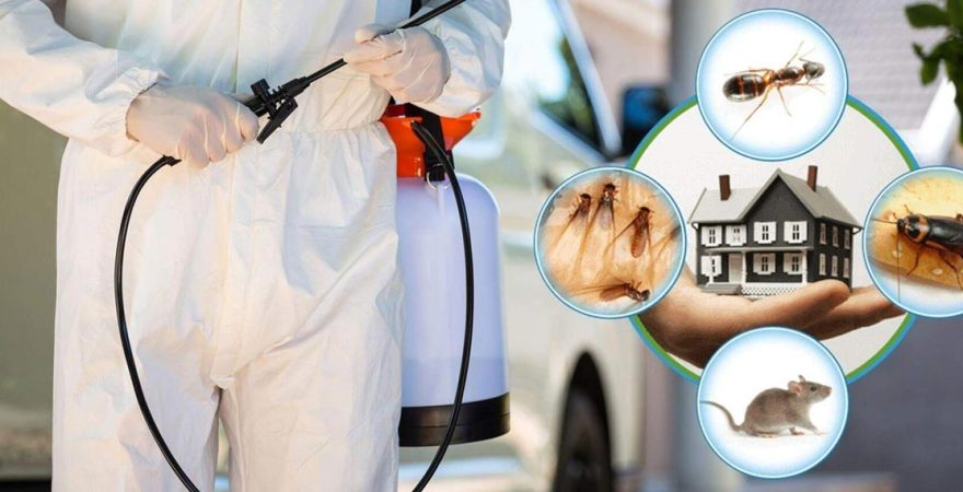 Akıncılar Böcek İlaçlama