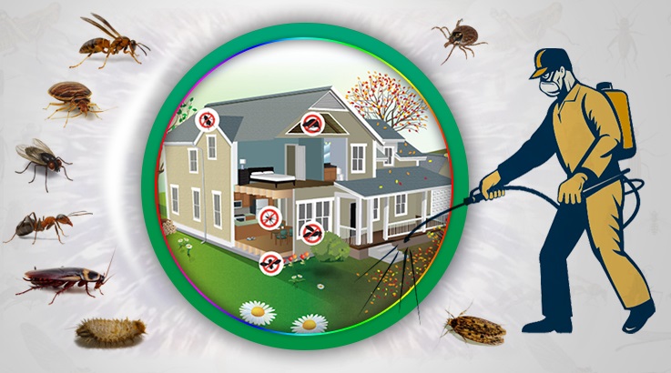 Akıncılar Böcek İlaçlama