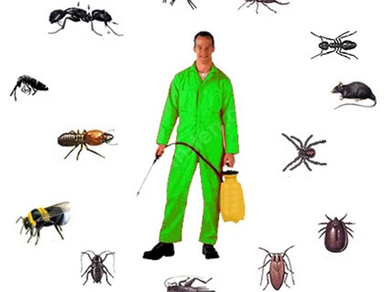 Akıncılar Böcek İlaçlama